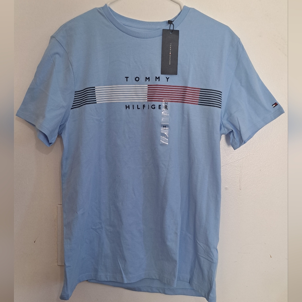 Tommy Hilfiger Men's Blue T-Shirt
